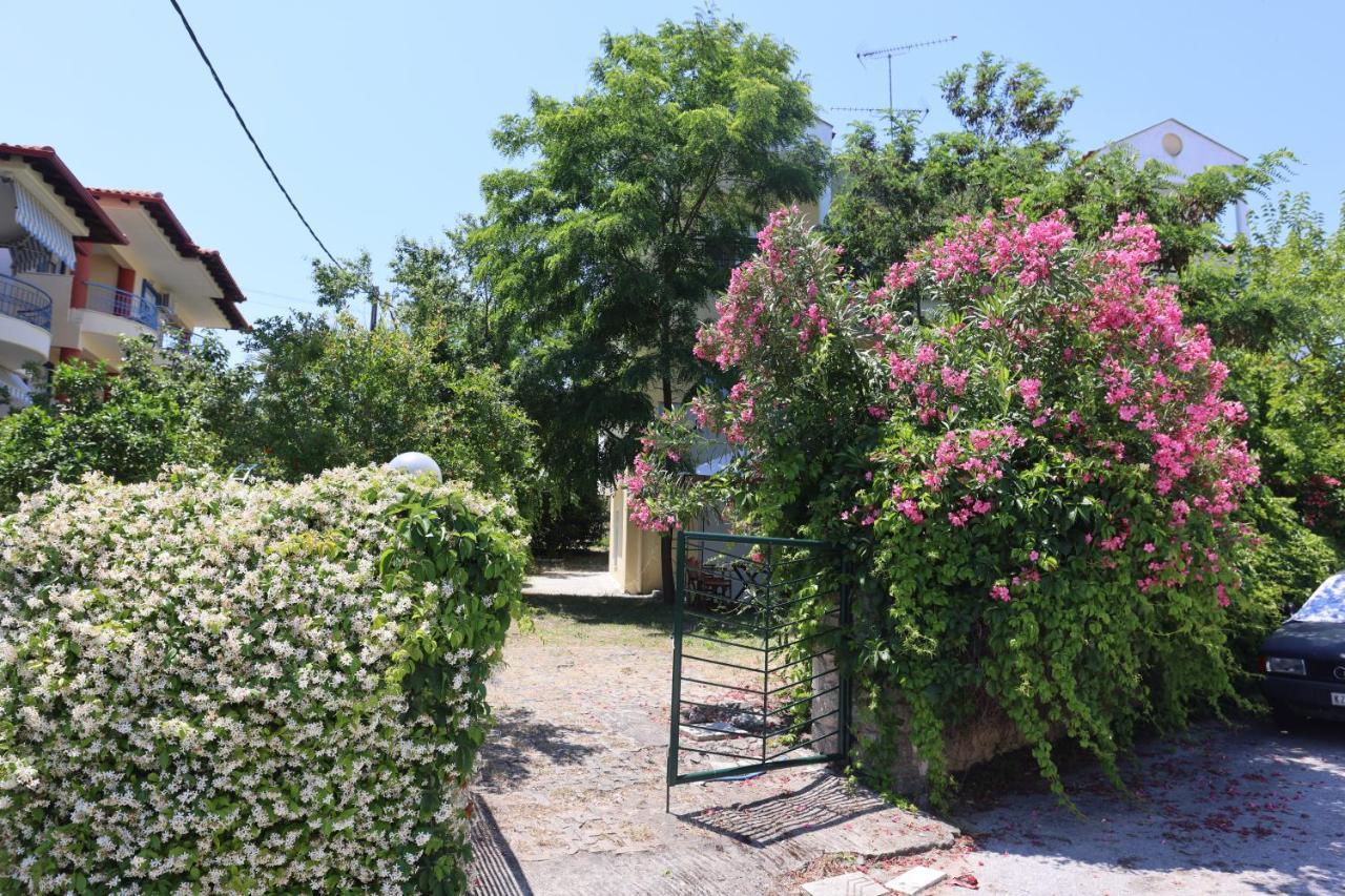 Appartement Amadeo Chaniotis